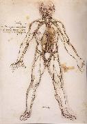 LEONARDO da Vinci You branching of the Blutgefabe, anatomical figure with heart kidneys and Blutgefaben France oil painting artist